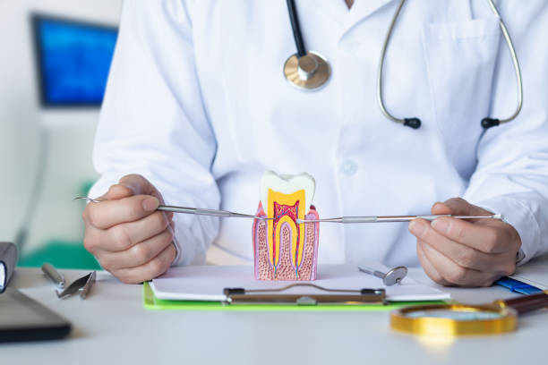 Best Emergency Dental Care for Abscessed Tooth in Minturn, CO